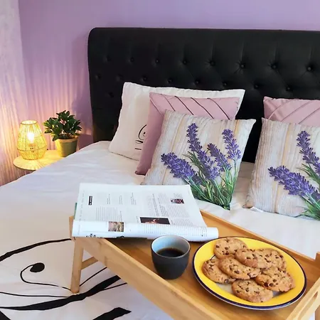 Cocon Du Bonheur Holiday home *